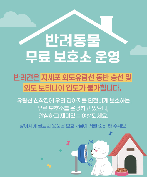 강아지보호소